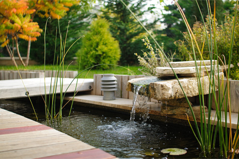 Beautifully Landscaped Japanese Gardens - Kreativ Dental Clinic