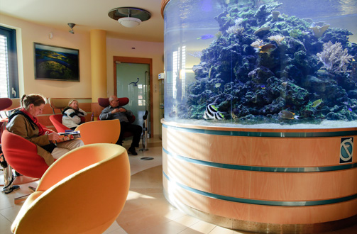 Reception, Tropical Saltwater Aquarium - Kreativ Dental Clinic